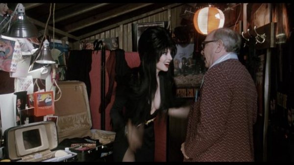 销魂天师/义胆游龙 Elvira.Mistress.of.the.Dark.1988.1080p.BluRay.REMUX.AVC.DTS-HD.MA.5.1-FGT 25.57GB-2.png