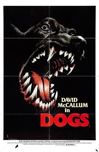 狗 Dogs.1976.1080p.BluRay.REMUX.AVC.LPCM.2.0-FGT 18.03GB-1.jpg