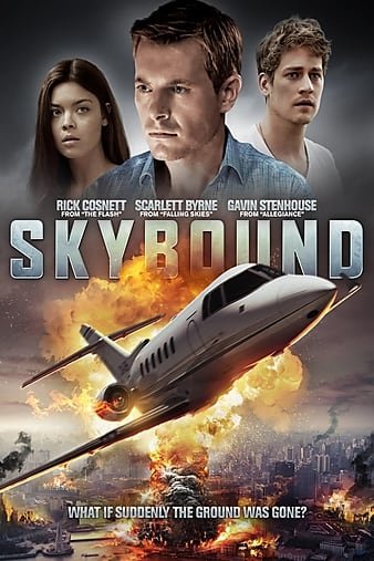失控天涯 Skybound.2017.720p.BluRay.x264-LATENCY 3.28GB-1.jpg