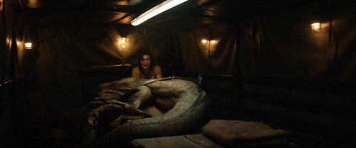 侏罗纪天下2[中字]Jurassic World Fallen Kingdom 2018 BluRay 720p DTS x264-CHD 5.86-5.jpg