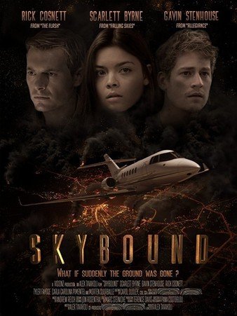 失控天涯 Skybound.2017.1080p.BluRay.x264-LATENCY 5.46GB-1.jpg
