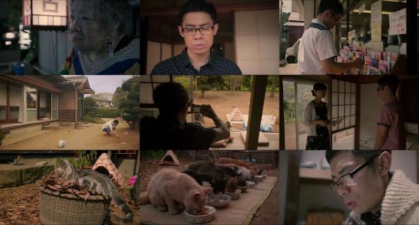 猫咪后院之家/猫咪收集之家 Neko.Atsume.House.2017.1080p.BluRay.x264-REGRET 6.57GB-2.jpg
