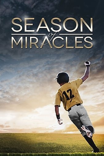 收获奇迹的季节 Season.of.Miracles.2013.1080p.BluRay.x264-BRMP 5.47GB-1.jpg