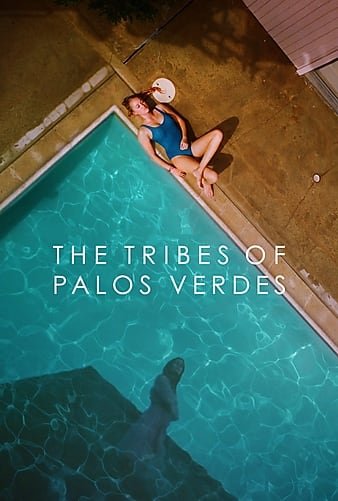 帕洛斯弗迪斯的部落 The.Tribes.of.Palos.Verdes.2017.LiMiTED.1080p.BluRay.x264-CADAVER 7.66GB-1.jpg
