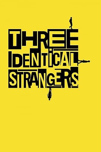 孪生陌生人 Three.Identical.Strangers.2018.1080p.BluRay.AVC.DTS-HD.MA.5.1-FGT 18.33GB-1.jpg