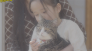 [Cat Café/貓之Cafe(港)/猫カフェ] *内封中笔墨幕 Cat.Cafe.2018.JAPANESE.720p.BluRay.x264-WiKi 2.82 GB-7.png