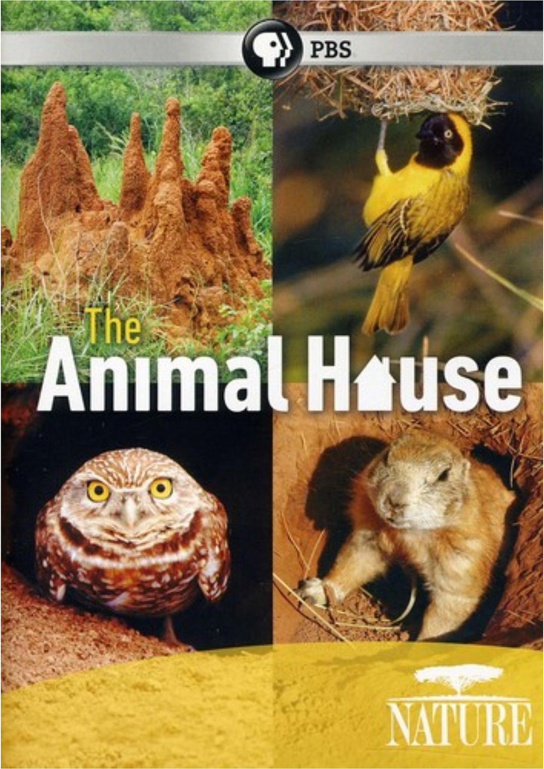自然天下:动物之家/动物修建师 Nature.The.Animal.House.2011.1080p.BluRay.x264-SADPANDA 3.28GB-1.png