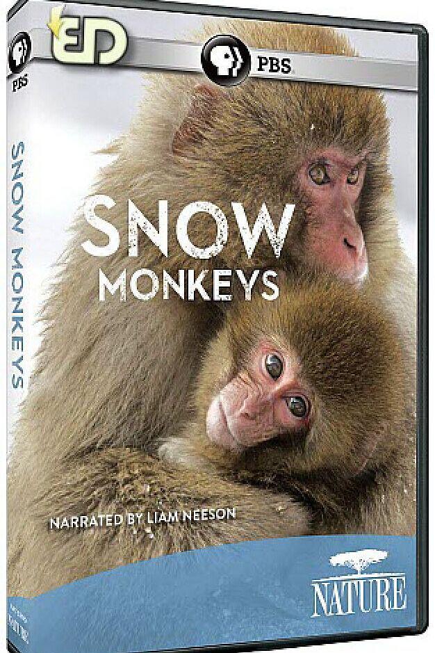 BBC自然天下:雪猿/PBS自然:雪猴 Nature.Snow.Monkeys.2014.1080p.BluRay.x264-SADPANDA 3.28GB-1.png