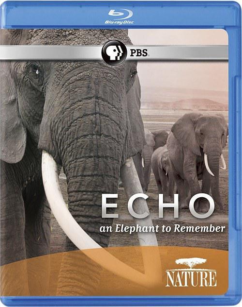 大象"反响"的回忆 Nature.Echo.An.Elephant.to.Remember.2010.1080p.BluRay.x264-SADPANDA 3.28GB-1.png