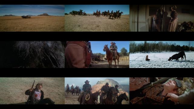 戎马闯天关/落日挽歌 Wild.Rovers.1971.1080p.BluRay.x264-SPECTACLE 14.21GB-2.png