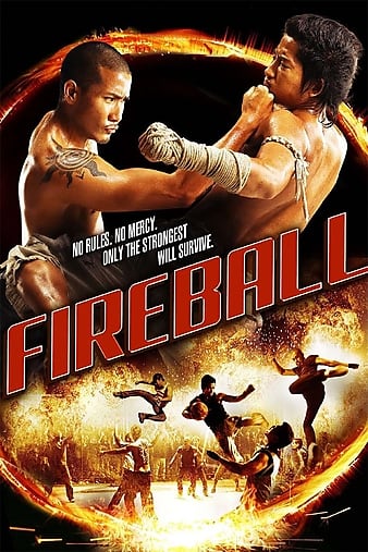 炎火篮球 Fireball.2009.THAI.1080p.BluRay.x264.DTS-FGT 9.08GB-1.png