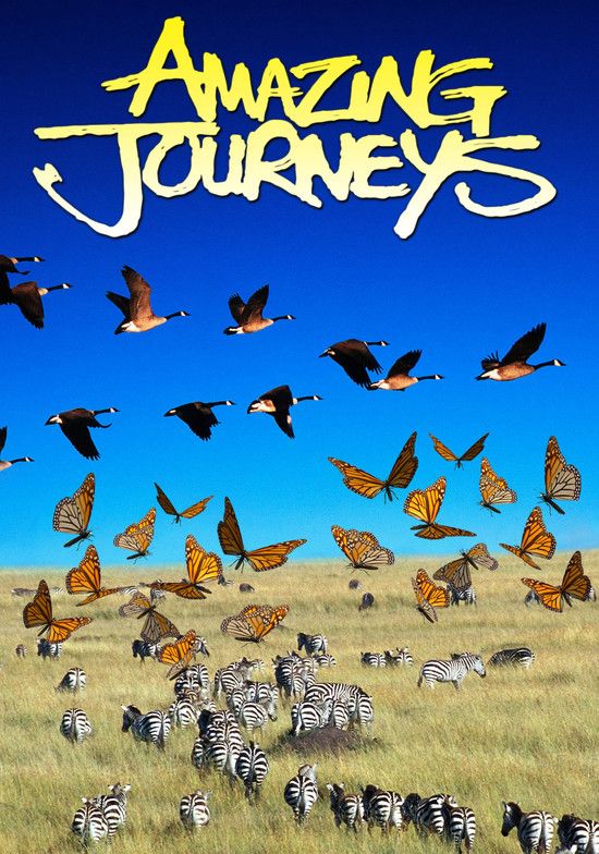 奇异的旅程 Amazing.Journeys.1999.DOCU.1080p.BluRay.x264.DD5.1-FGT 3.55GB-1.png
