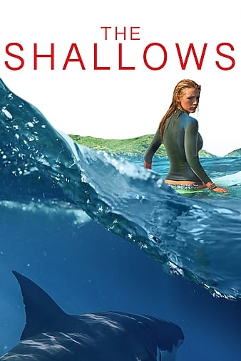 鲨滩 The.Shallows.2016.1080p.BluRay.x264.DTS-HD.MA.5.1-FGT 7.97GB-1.png