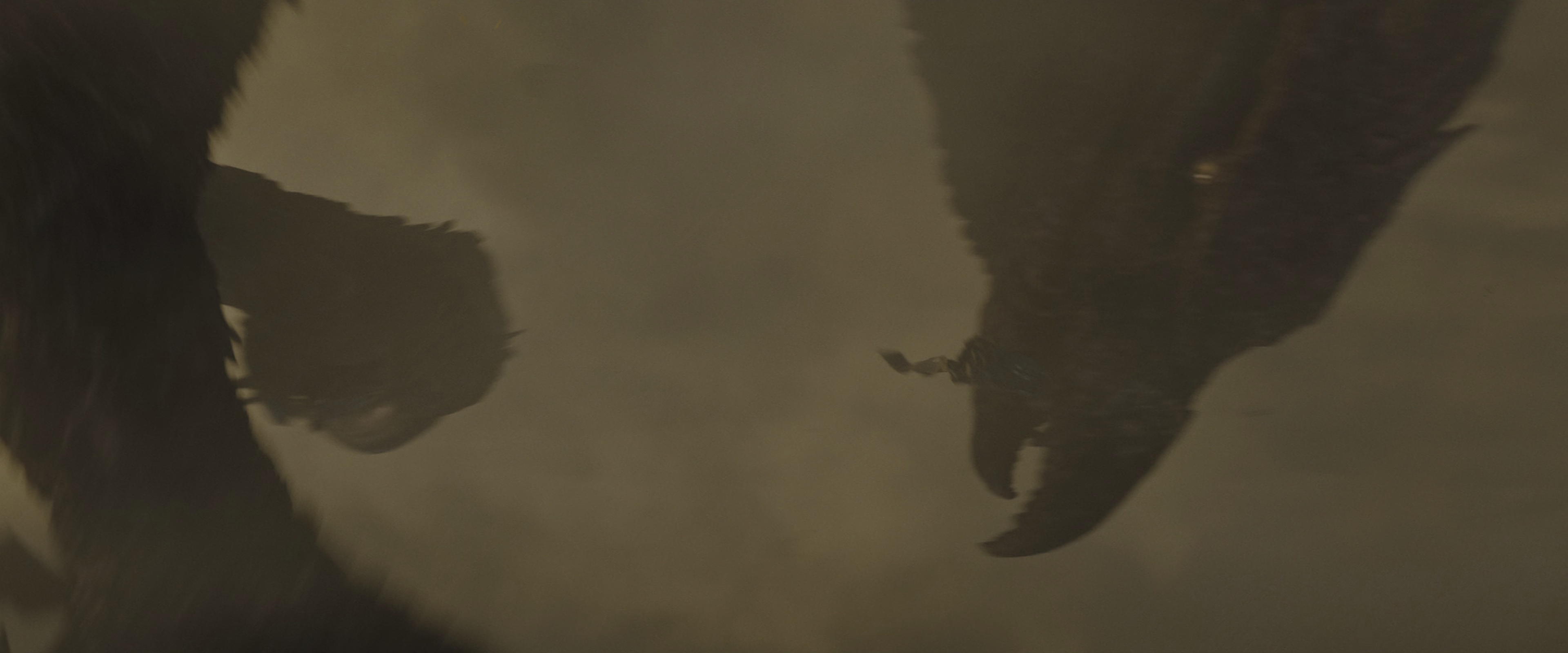 哥斯拉2：怪兽之王[HDR版本][简繁英字幕].Godzilla.King.of.the.Monsters.2019.BluRay.2160p.x265.10bit.HDR.2Audios-MiniHD 24.94GB-4.jpeg