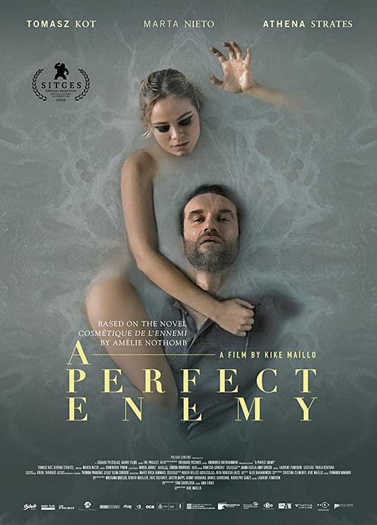 完善仇敌[简繁英字幕].A.Perfect.Enemy.2020.BluRay.1080p.DTS-HD.MA.5.1.x264-CTRLHD 10.61GB-1.jpeg