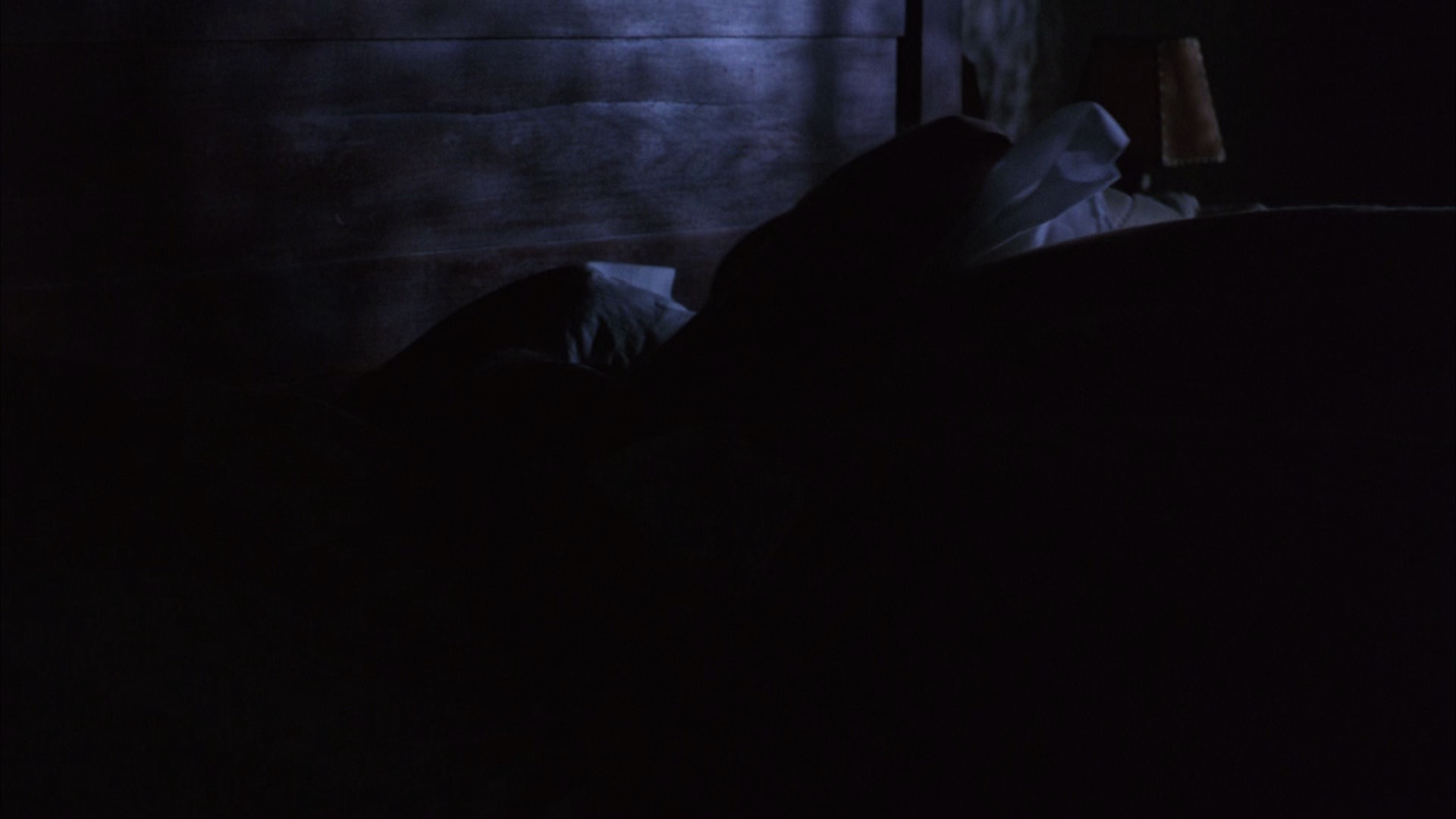 肖申克的救赎[国英多音轨/简繁英殊效字幕].The.Shawshank.Redemption.1994.BluRay.1080p.x265.10bit.5Audio-MiniHD 11.03GB-4.jpeg