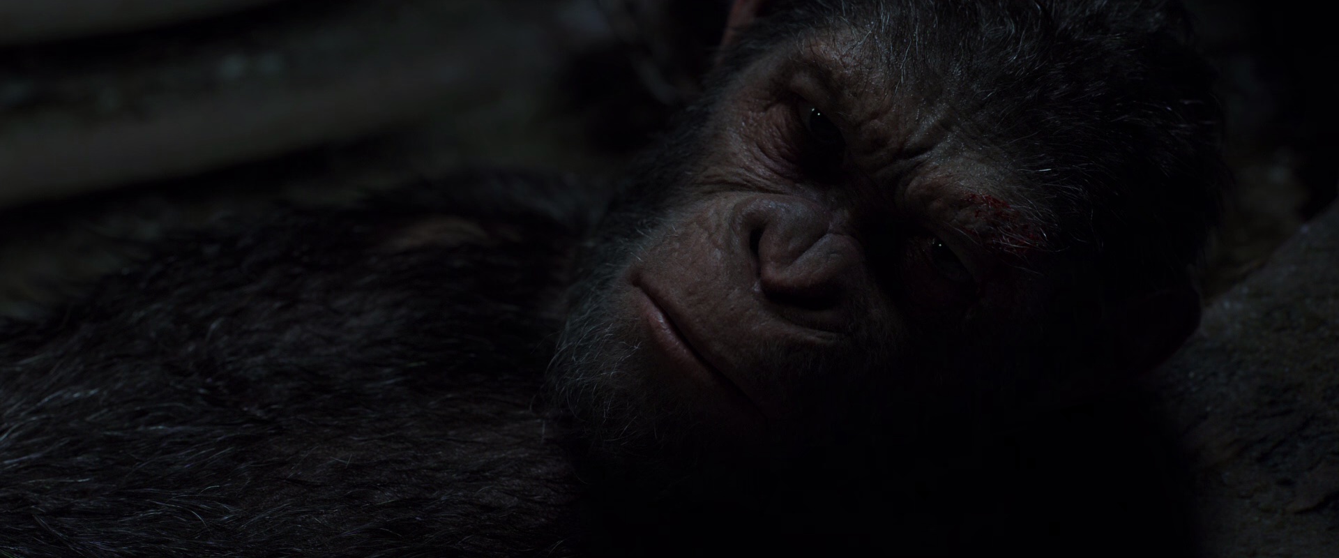 猩球突起3：终极之战[国英多音轨/中英字幕].War.for.the.Planet.of.the.Apes.2017.BluRay.1080p.x265.10bit.2Audio-MiniHD 5.55GB-4.jpeg
