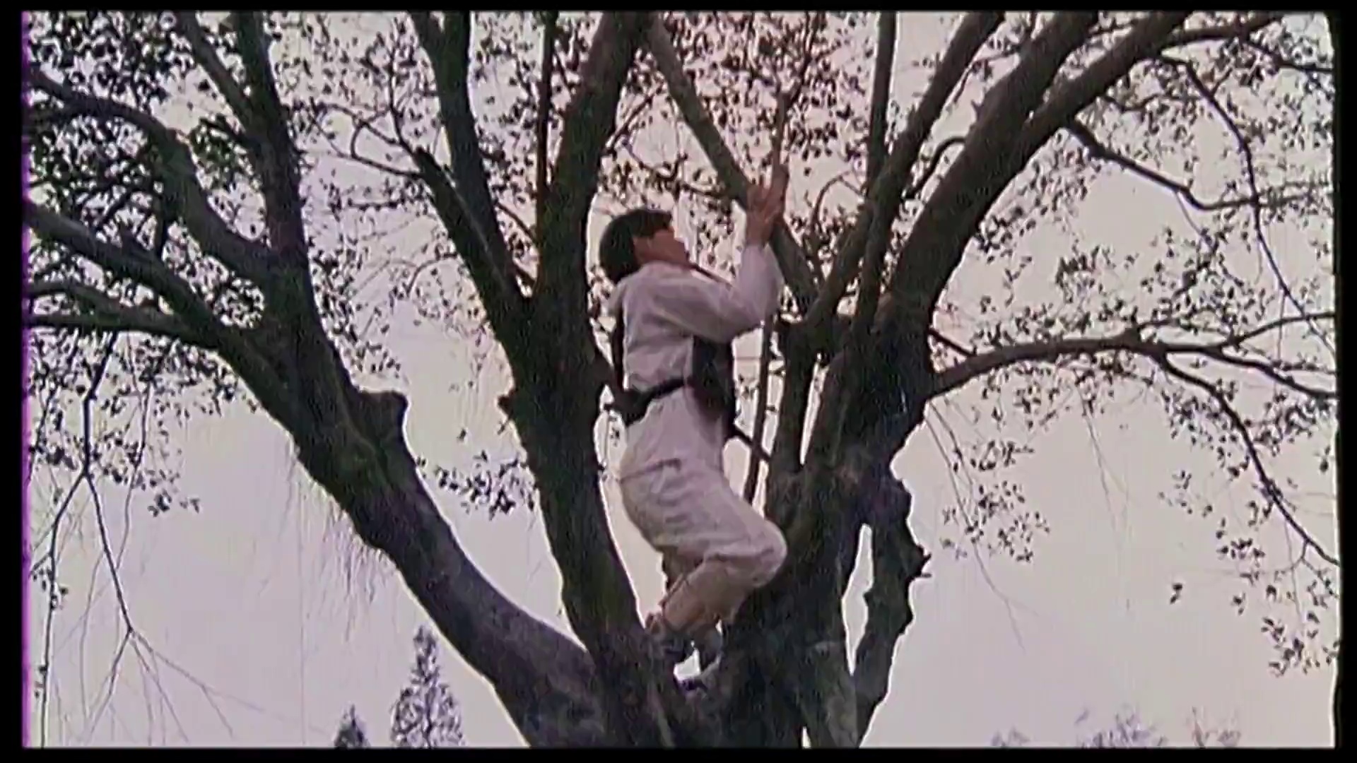 笑林小子[国语配音/中笔墨幕].Shaolin.Popey.1994.WEB-DL.1080p.H.264.AAC-TAG 1.12GB-5.png