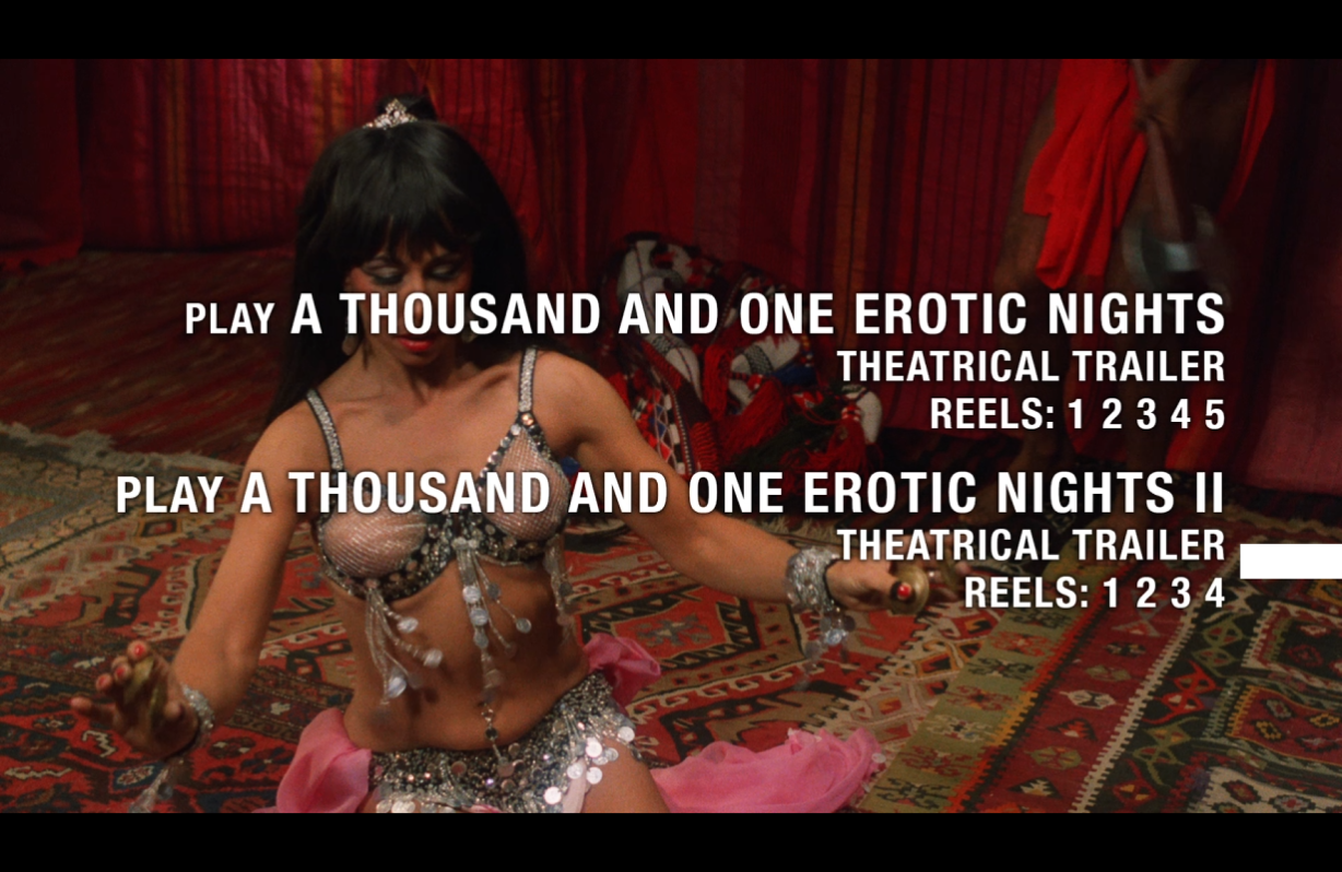 一千零一情欲之夜+一千零一情欲之夜2  [DIY简繁字幕].A.Thousand.and.One.Erotic.Nights.1982.+.Part.II.1988.1080p.Blu-ray.AVC.DTS-HD.MA.1.0-TAG 45.58GB-2.png
