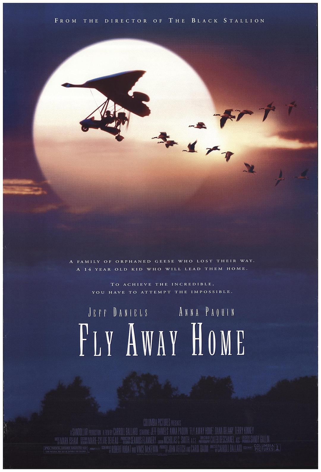 伴你高飞/返家十万里/飞向故乡/回南 [DIY 国语音轨/简繁/双语字幕].Fly.Away.Home.1996.1080p.EUR.Blu-ray.AVC.TrueHD.5.1-TAG 34.82GB-1.jpg