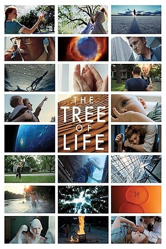 生命之树/生命树 The.Tree.of.Life.2011.EXTENDED.720p.BluRay.X264-AMIABLE 7.66GB-1.jpg