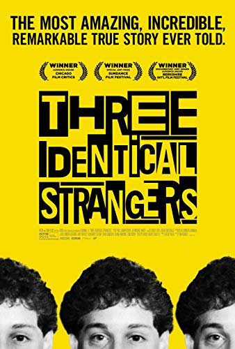 孪生陌生人 Three.Identical.Strangers.2018.720p.BluRay.x264-ROVERS 4.37GB-1.jpg
