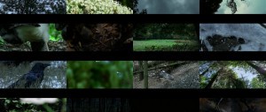 陈腐的森林 The.Ancient.Woods.2017.1080p.WEB-DL.x264-ZemoG 2.22GB-5.jpg