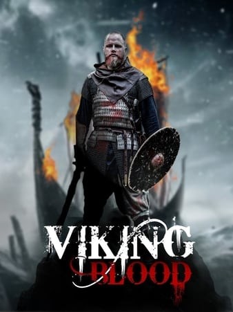 维京人的血 Viking.Blood.2019.1080p.WEB-DL.DD5.1.H264-FGT 3.08GB-1.jpg