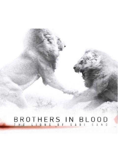 狮王之路 Brothers.In.Blood.The.Lions.Of.Sabi.Sand.2015.1080p.AMZN.WEBRip.DDP2.0.x264-Cinefeel 7.88GB-1.png