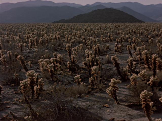 沙漠异景/活沙漠 The.Living.Desert.1953.1080p.WEBRip.x264-RARBG 1.32GB-2.png