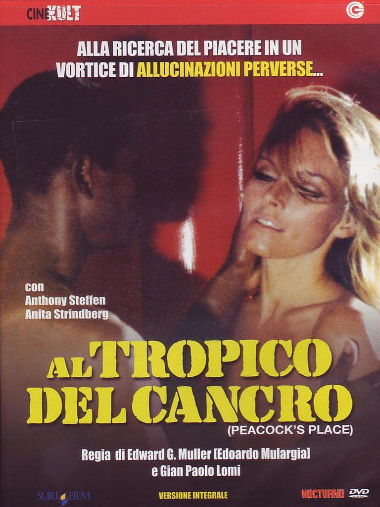 魂断太子港 Tropic.Of.Cancer.1972.ITALIAN.1080p.BluRay.x264.DTS-FGT 8.60GB-1.png