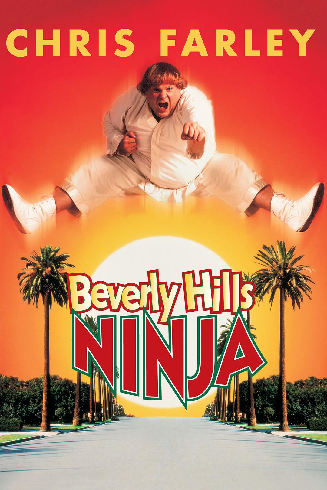 比佛利军人 Beverly.Hills.Ninja.1997.1080p.AMZN.WEBRip.DDP5.1.x264-monkee 9.11GB-1.png