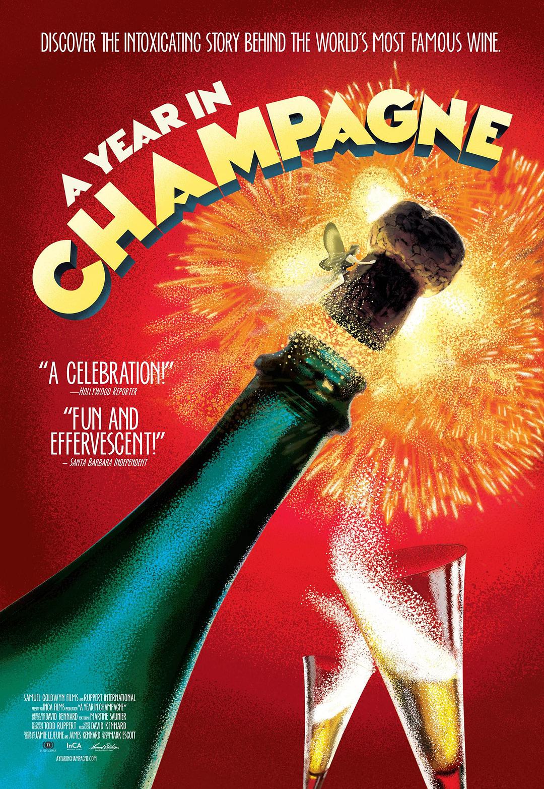 在香槟的一年 A.Year.in.Champagne.2014.1080p.AMZN.WEBRip.DDP5.1.x264-PYrO 5.67GB-1.png