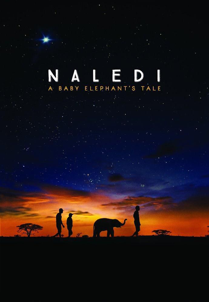 纳勒迪:一只小象的故事/小象的故事 Naledi.A.Baby.Elephants.Tale.2016.1080p.NF.WEBRip.DDP2.0.x264-SiGMA 3.95GB-1.png