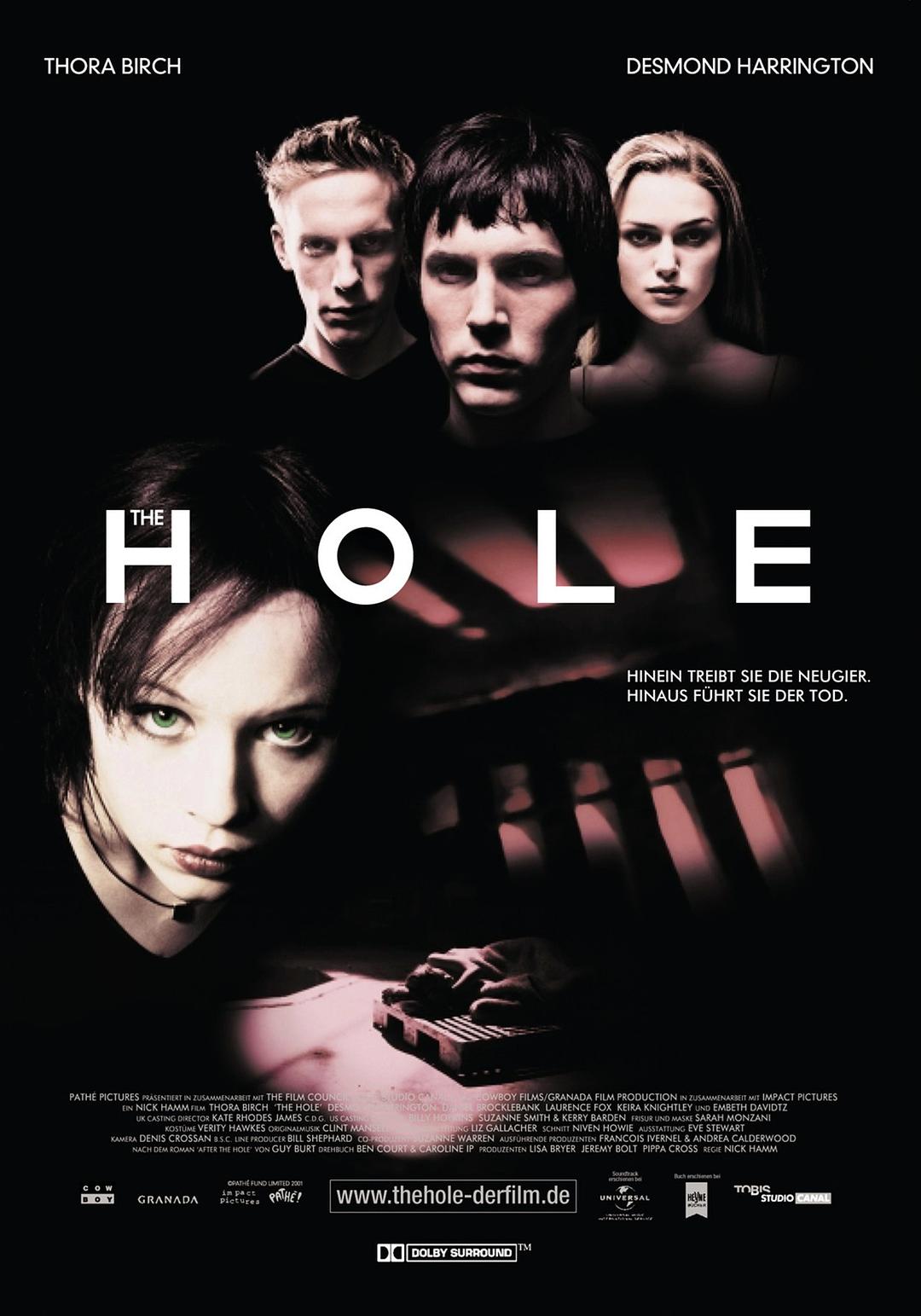 洞/凶洞 The.Hole.2001.1080p.BluRay.REMUX.AVC.DTS-HD.MA.5.1-FGT 19.63GB-1.png