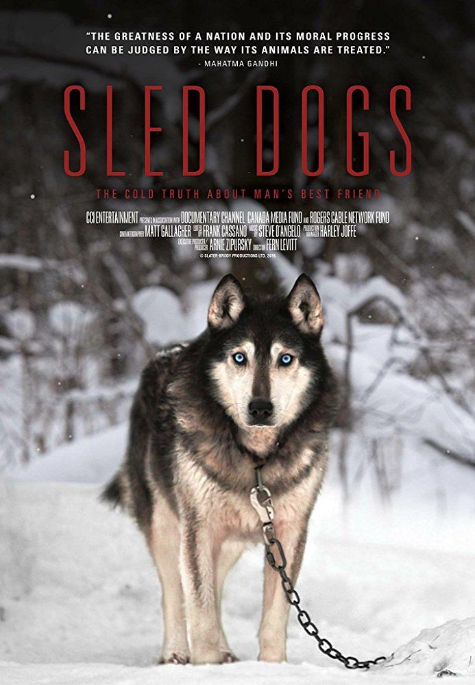 雪橇犬 Sled.Dogs.2016.1080p.WEB-DL.DD5.1.H264-EYEZ 3.17GB-1.png
