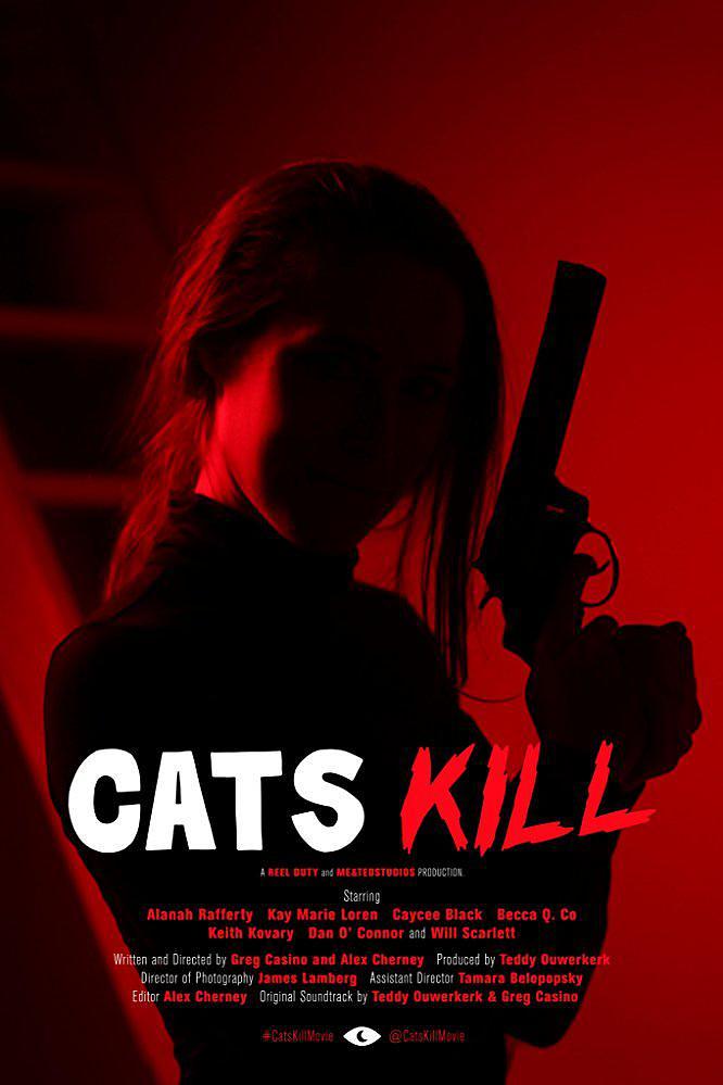 杀猫 Cats.Kill.2017.1080p.WEB-DL.AAC2.0.H264-FGT 2.22GB-1.png