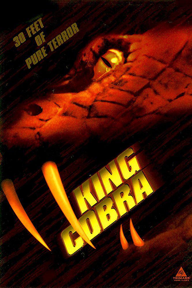 眼镜王蛇/异蟒狂袭 King.Cobra.1998.1080p.WEBRip.DD5.1.x264-MooMa 7.24GB-1.png