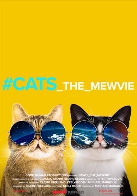 网红喵星人 Cats.The.Mewvie.2020.1080p.NF.WEBRip.DDP2.0.x264-WELP 3.13GB-1.png
