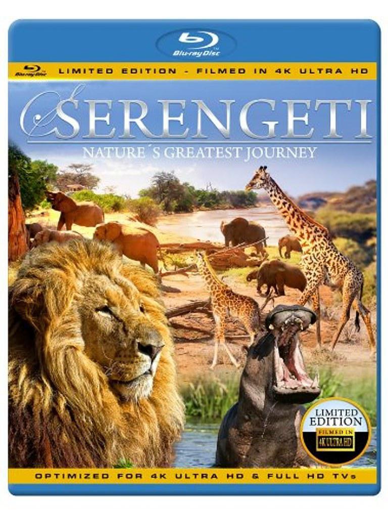 塞伦盖蒂:自然界最壮观的旅程 Serengeti.Natures.Greatest.Journey.2015.1080p.BluRay.x264-SADPANDA 6.56GB-1.png