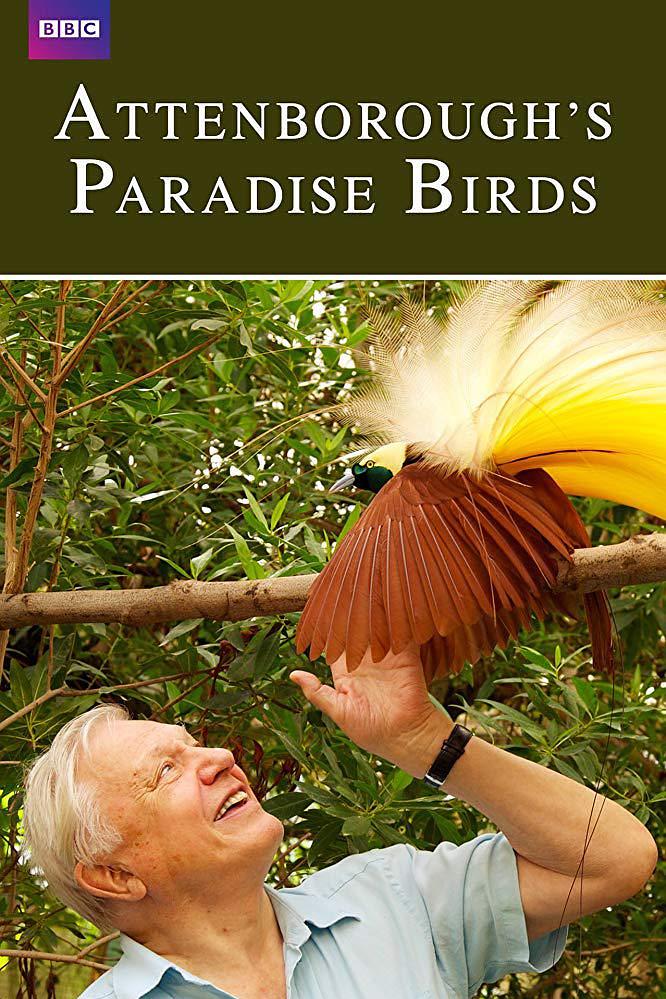 爱登堡的极乐鸟天下 Attenboroughs.Paradise.Birds.2015.1080p.AMZN.WEBRip.DDP2.0.x264-Cinefeel 4.58GB-1.png
