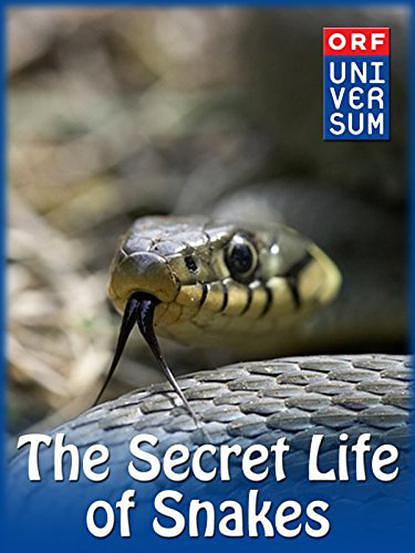 蛇的奥秘生活 The.Secret.Life.Of.Snakes.2016.2160p.WEB.x264-PFa 6.74GB-1.png