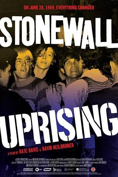 石墙风暴/石墙叛逆 Stonewall.Uprising.2010.1080p.AMZN.WEBRip.DDP2.0.x264-KAIZEN 5.82GB-1.png