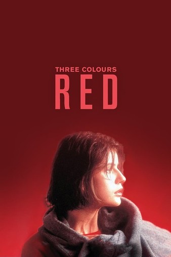 蓝白红三部曲之红 Three.Colors.Red.1994.FRENCH.1080p.BluRay.x264.DTS-FGT 6.56GB-1.png
