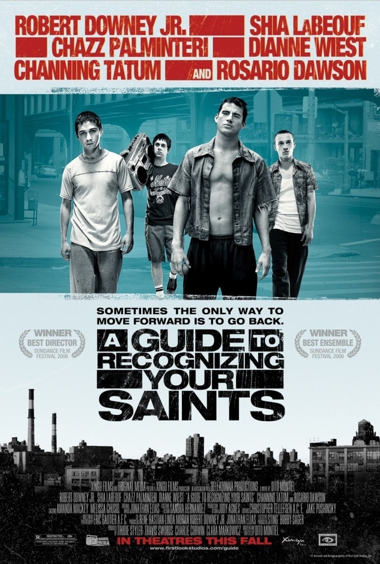 圣徒指南/改邪归正 A.Guide.to.Recognizing.Your.Saints.2006.1080p.BluRay.x264.DTS-FGT 9.43GB-1.jpg