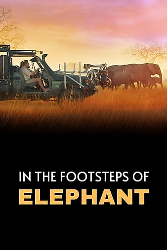 《大象》幕后特辑 In.the.Footsteps.of.Elephant.2020.720p.DSNP.WEBRip.DDP5.1.x264-ETHiCS 2.67GB-1.png