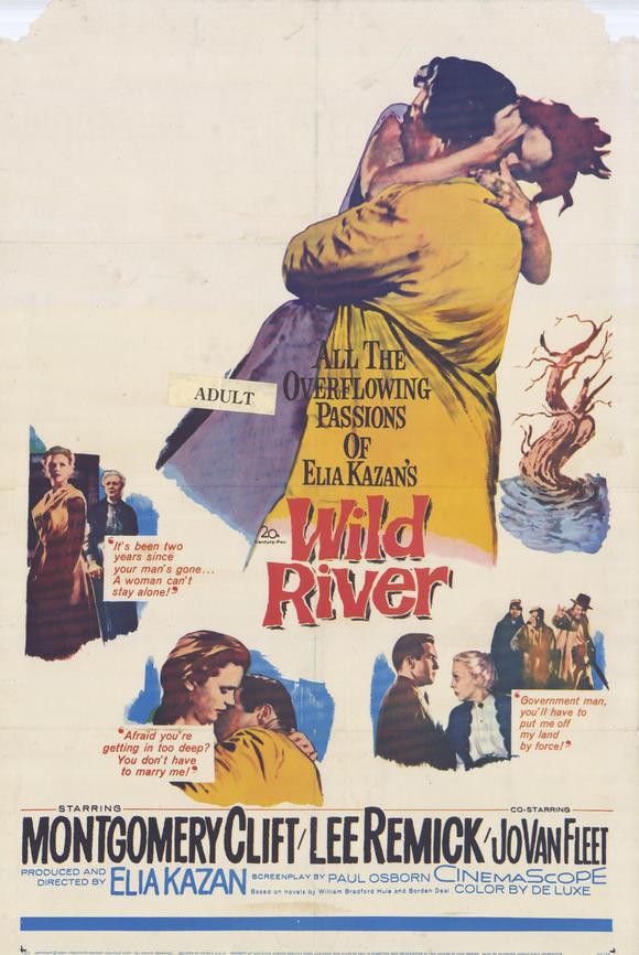 狂澜春醒 Wild.River.1960.1080p.BluRay.x264-PSYCHD 7.65GB-1.jpeg