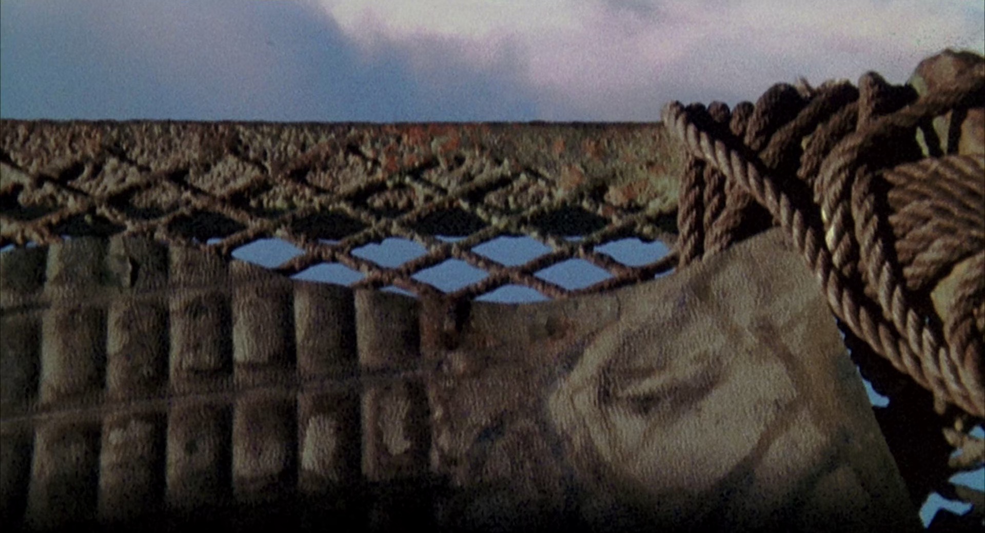 未来水天下[国英多音轨/中英字幕].Waterworld.1995.BluRay.1080p.x265.10bit.2Audio-MiniHD 7.49GB-7.jpeg