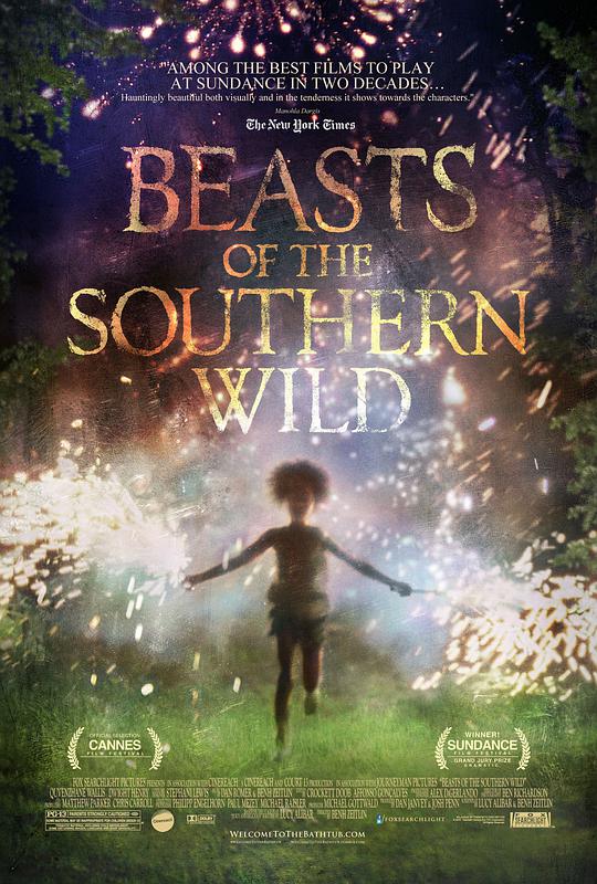 北国野兽[简繁英字幕].Beasts.of.the.Southern.Wild.2012.BluRay.1080p.DTS-HD.MA5.1.x265.10bit-ALT 10.23GB-1.jpeg