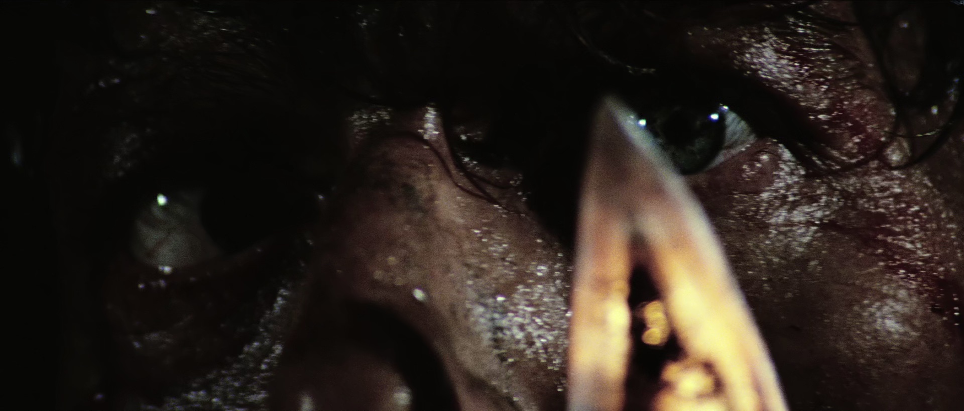 第一滴血2[国英多音轨/中英字幕].Rambo.First.Blood.Part.II.1985.BluRay.1080p.x265.10bit.2Audio-MiniHD 4.83GB-5.jpeg